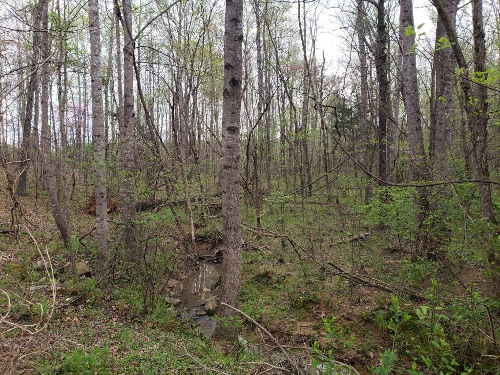 7092 Porter Dr, Oxford, NC 27565 | SWE Homes